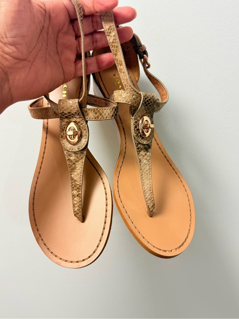 Coach Gold Snake-Print T-Strap Sandals